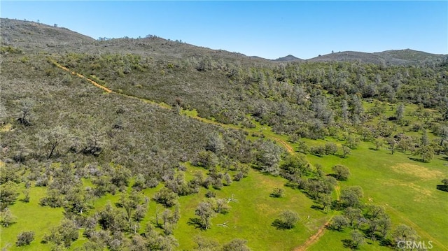 10777 Walker Trail Rd, Lost City, CA 95230