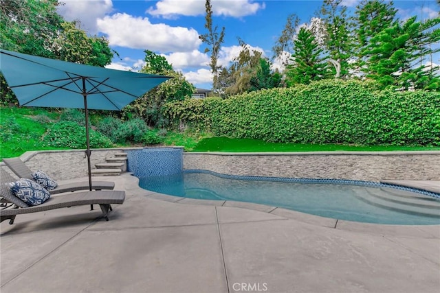 view of swimming pool with a patio