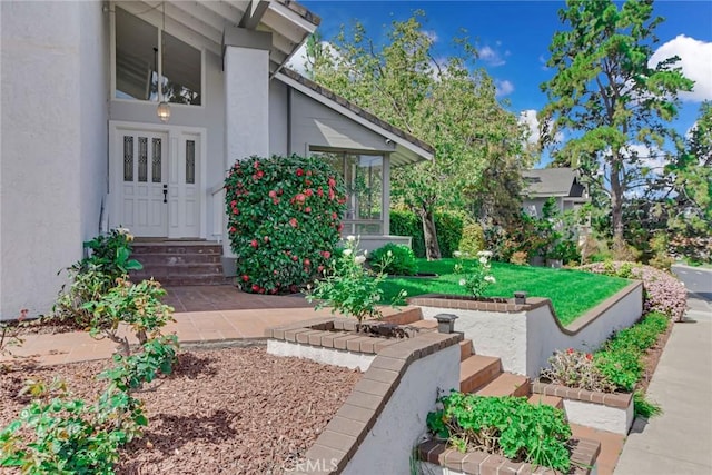 view of yard with entry steps