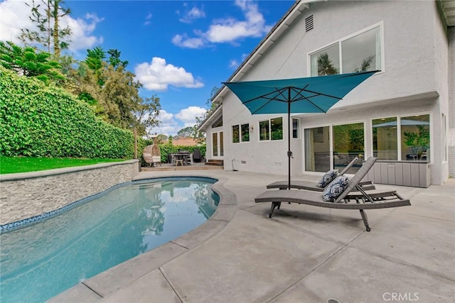 view of swimming pool featuring a patio