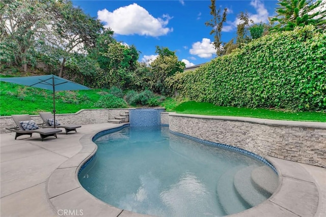 view of pool featuring a patio