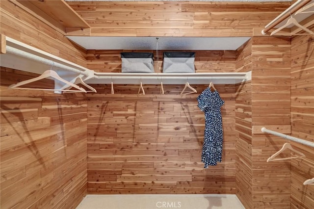 view of spacious closet