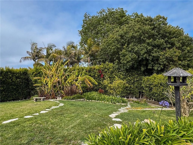view of yard