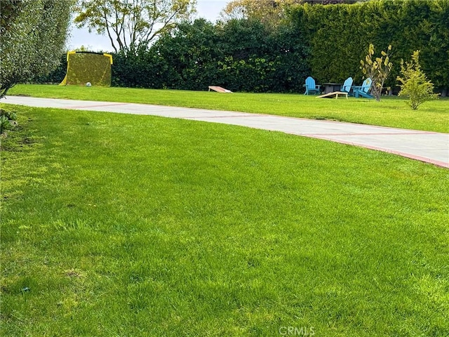 view of yard