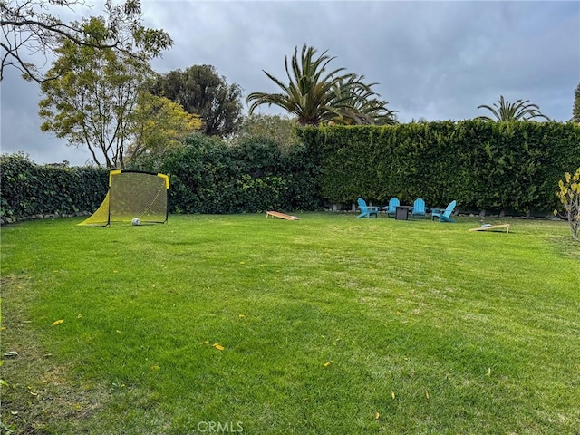 view of yard