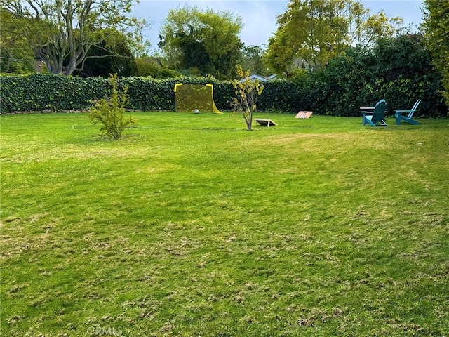 view of yard