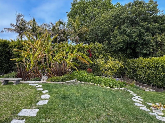 view of yard
