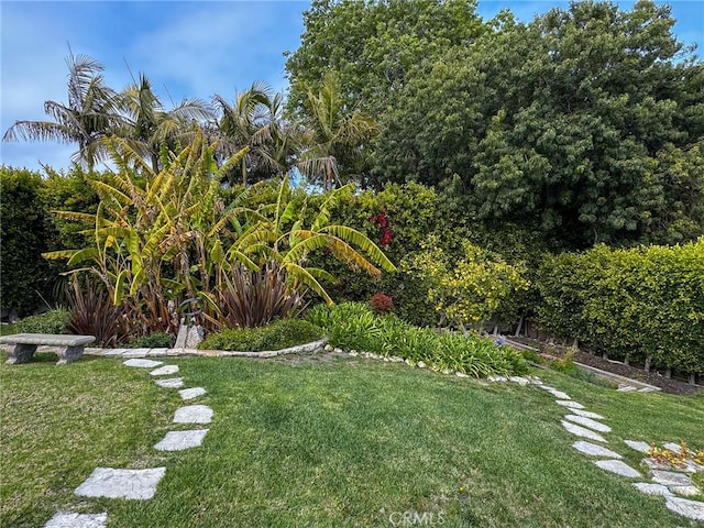 2501 Novato Pl, Palos Verdes Estates, CA 90274 - view of green lawn