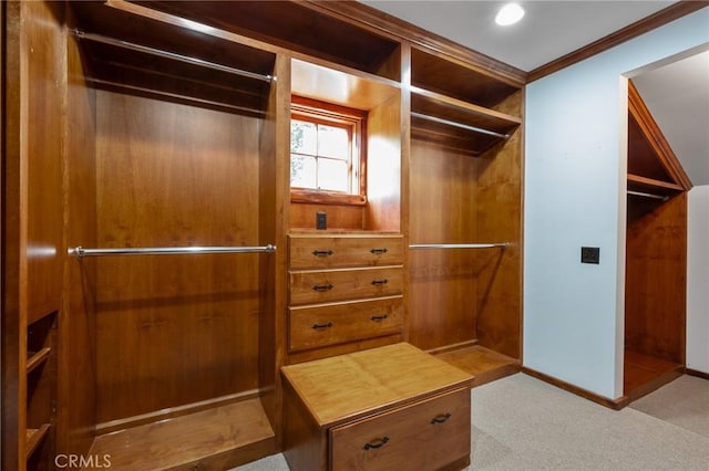 walk in closet with carpet flooring