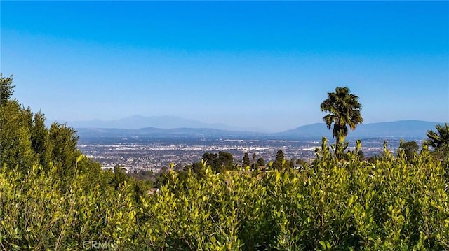 2501 Novato Pl, Palos Verdes Estates, CA 90274 - view of mountain background