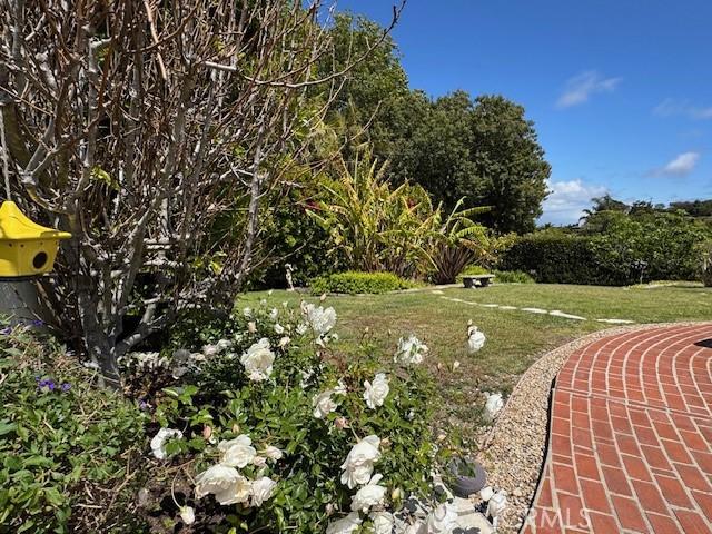 view of home's community featuring a lawn