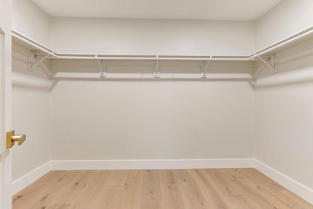 walk in closet featuring light wood-style flooring