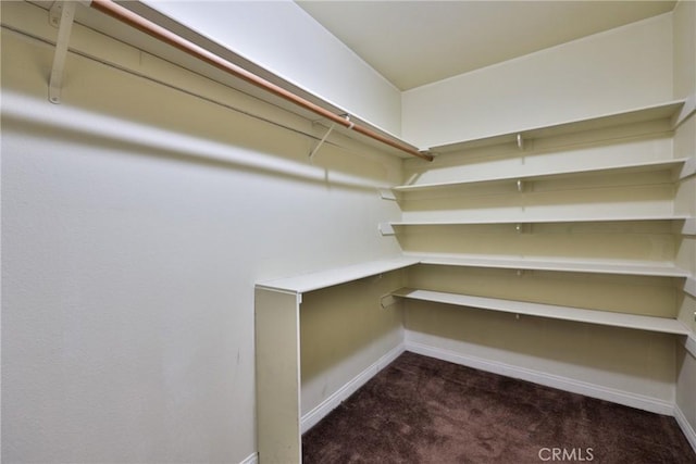 5420 Chiquita Ln, San Bernardino, CA 92404 - spacious closet featuring dark carpet