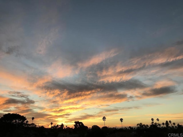 2264 Soto St, San Diego, CA 92107 - view of nature at dusk