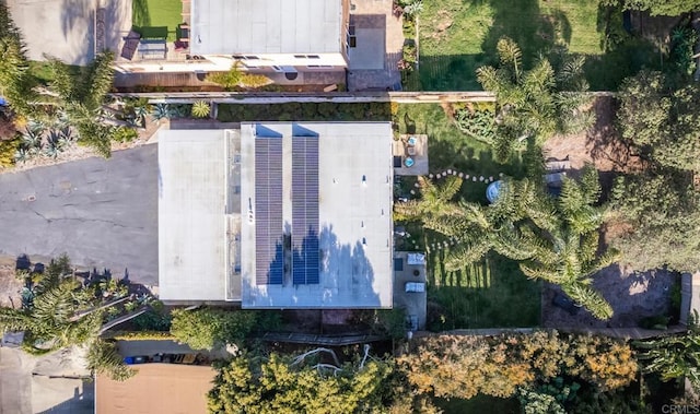 303305 Sanford St, Encinitas, CA 92024 - bird's eye view