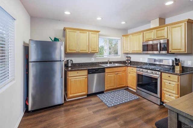 303305 Sanford St, Encinitas, CA 92024 - kitchen with stainless steel appliances, a sink, dark wood-style floors, recessed lighting, and light brown cabinetry
