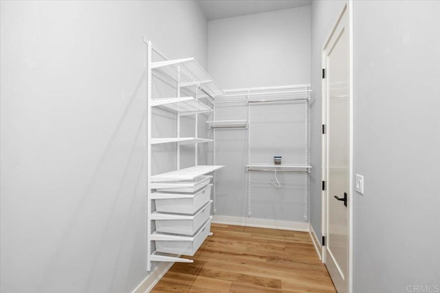 2677 State St # 301, Carlsbad, CA 92008 - walk in closet with light wood-type flooring