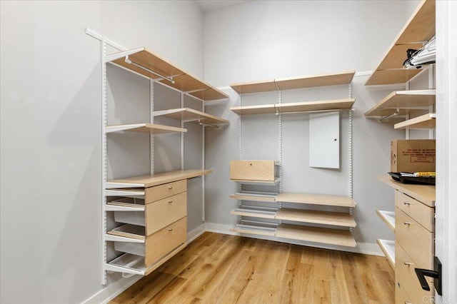 2677 State St # 301, Carlsbad, CA 92008 - spacious closet featuring light wood-style floors