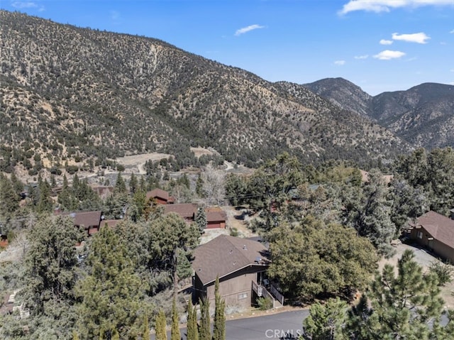 2441 Innsbruck Ct, Pine Mountain Club, CA 93222 - photo 33