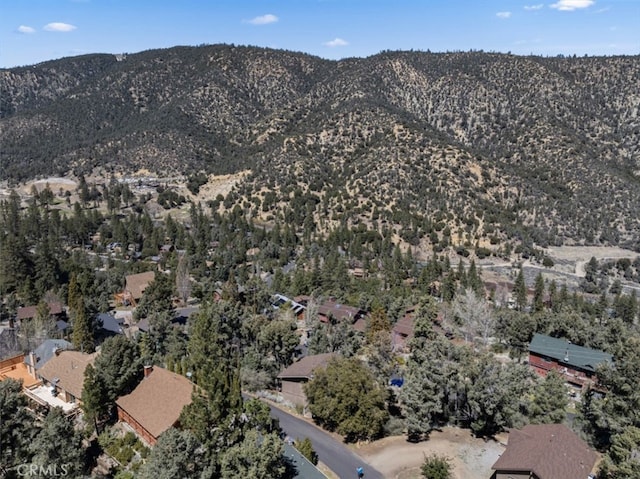 2441 Innsbruck Ct, Pine Mountain Club, CA 93222 - photo 34