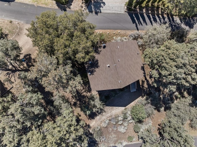 2441 Innsbruck Ct, Pine Mountain Club, CA 93222 - photo 28