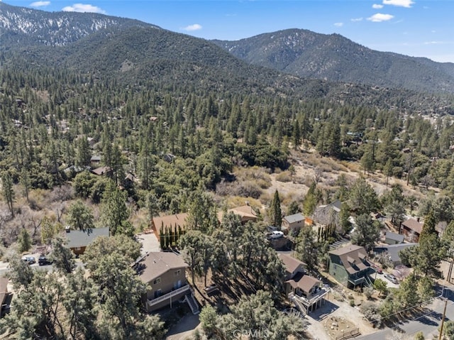 2441 Innsbruck Ct, Pine Mountain Club, CA 93222 - photo 32