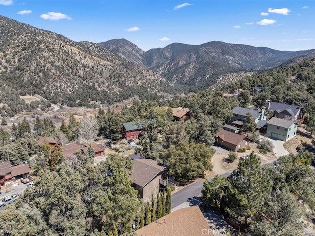 2441 Innsbruck Ct, Pine Mountain Club, CA 93222 - photo 29