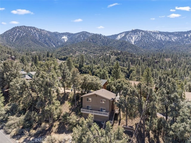 2441 Innsbruck Ct, Pine Mountain Club, CA 93222 - photo 35