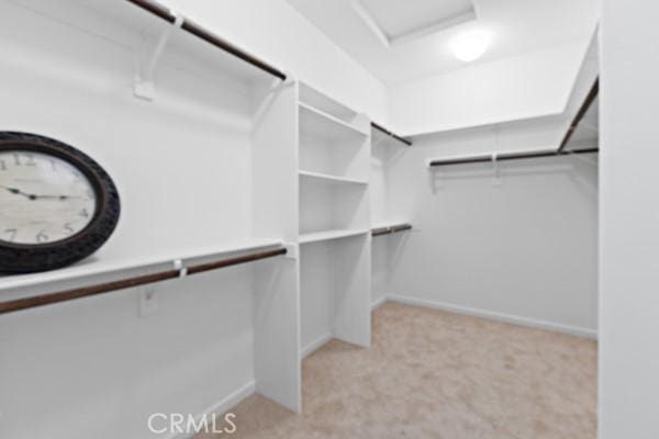 walk in closet featuring attic access and light colored carpet