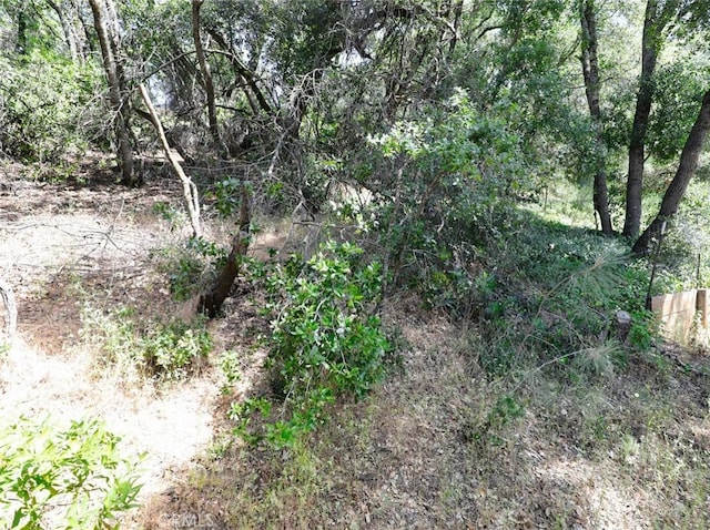 7316 High St, Nice, CA 95464 - photo 15