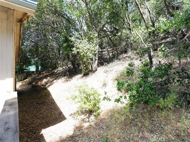 7316 High St, Nice, CA 95464 - photo 14