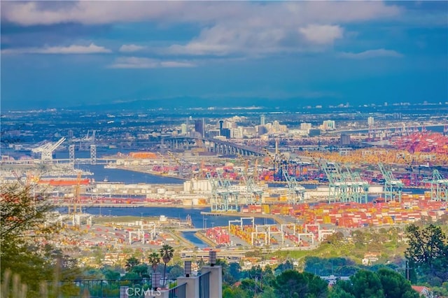 birds eye view of property featuring a city view