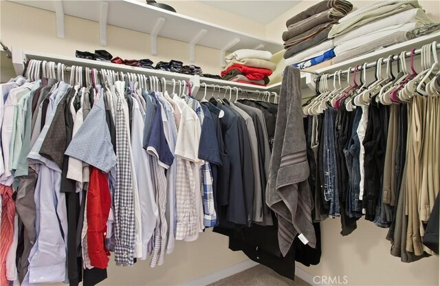 615 Rockefeller, Irvine, CA 92612 - spacious closet featuring carpet floors