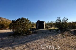 50234 Oak Dr, Morongo Valley, CA 92256 - view of yard