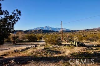 50234 Oak Dr, Morongo Valley, CA 92256 - view of mountain feature