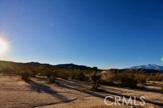 50234 Oak Dr, Morongo Valley, CA 92256 - exterior space