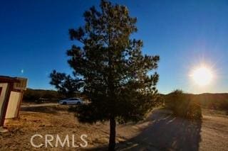 50234 Oak Dr, Morongo Valley, CA 92256 - view of road