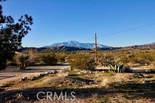 50234 Oak Dr, Morongo Valley, CA 92256 - property view of mountains