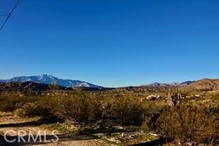 50234 Oak Dr, Morongo Valley, CA 92256 - property view of mountains