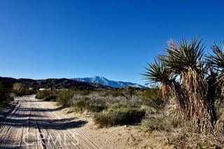 50234 Oak Dr, Morongo Valley, CA 92256 - mountain view