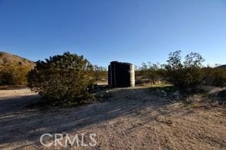50234 Oak Dr, Morongo Valley, CA 92256 - view of yard