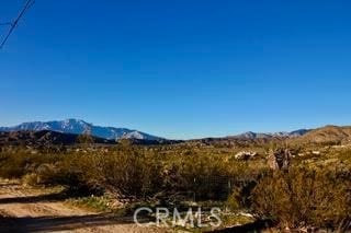 50234 Oak Dr, Morongo Valley, CA 92256 - property view of mountains