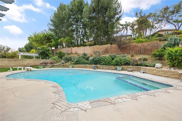 710 W Country Hills Dr W, La Habra, CA 90631 - view of pool featuring a fenced in pool, a fenced backyard, and a patio area