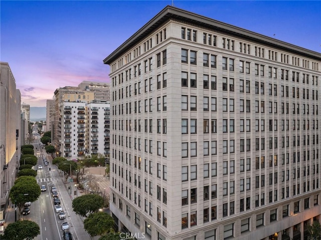 460 S Spring St Unit 302, Los Angeles, CA 90013 - view of property with a city view