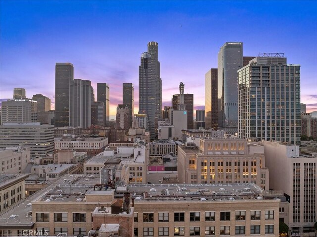 460 S Spring St Unit 302, Los Angeles, CA 90013 - property's view of city
