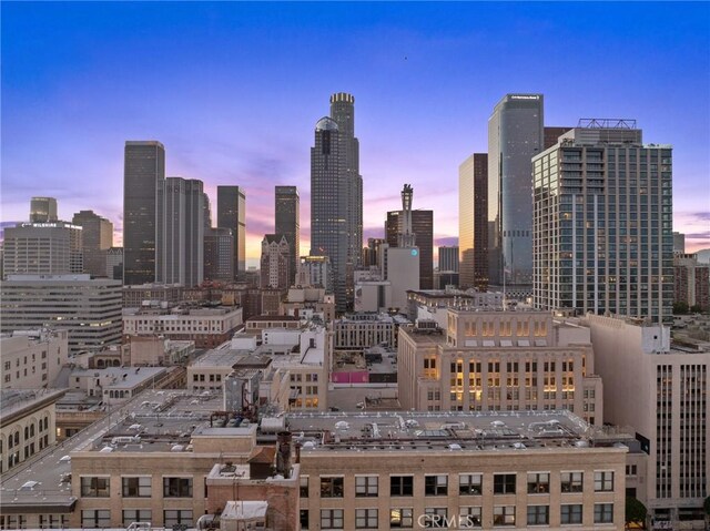 460 S Spring St Unit 302, Los Angeles, CA 90013 - skyline view