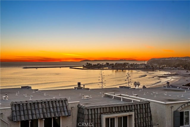 26056 Vista Dr E Unit 64, Dana Point, CA 92624 - view of water feature