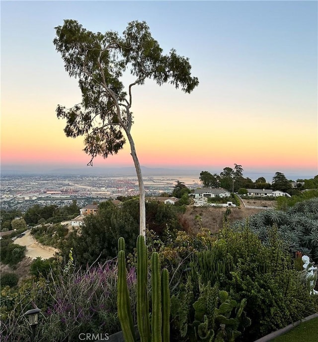 9 Maverick Ln, Rolling Hills, CA 90274 - photo 8