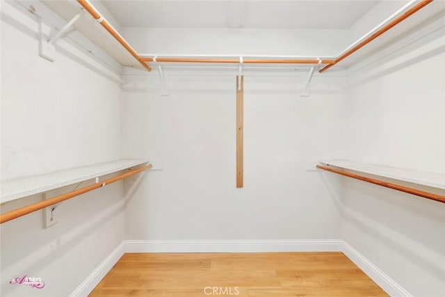 spacious closet featuring light wood-style flooring