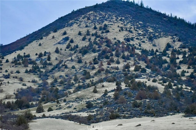 9114 Colleen Cirle, Montague, CA 96064 - photo 24